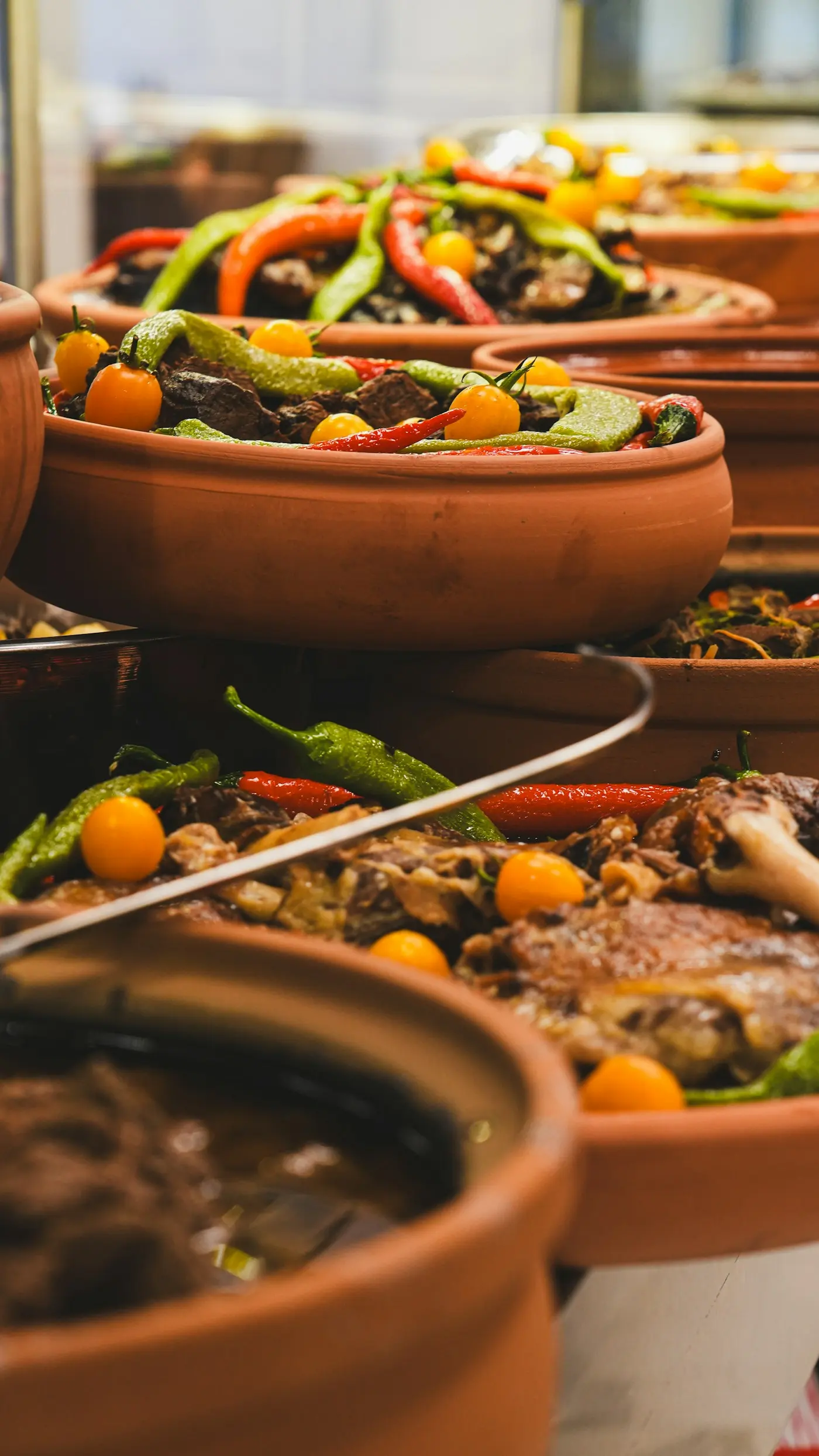 Clay-pot stew